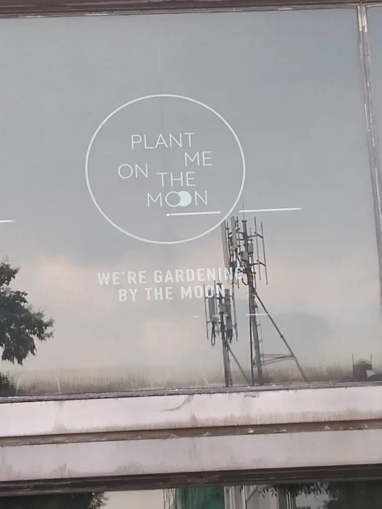สติ๊กเกอร์ฝ้าพิมพ์โลโก้ PLANT ME ON THE MOON เต็มบานกระจก